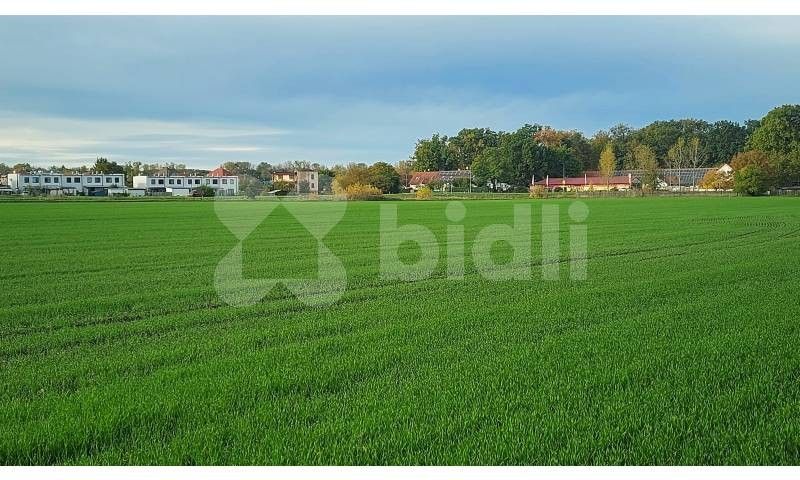 Zemědělské pozemky, Starý Mateřov, 4 856 m²