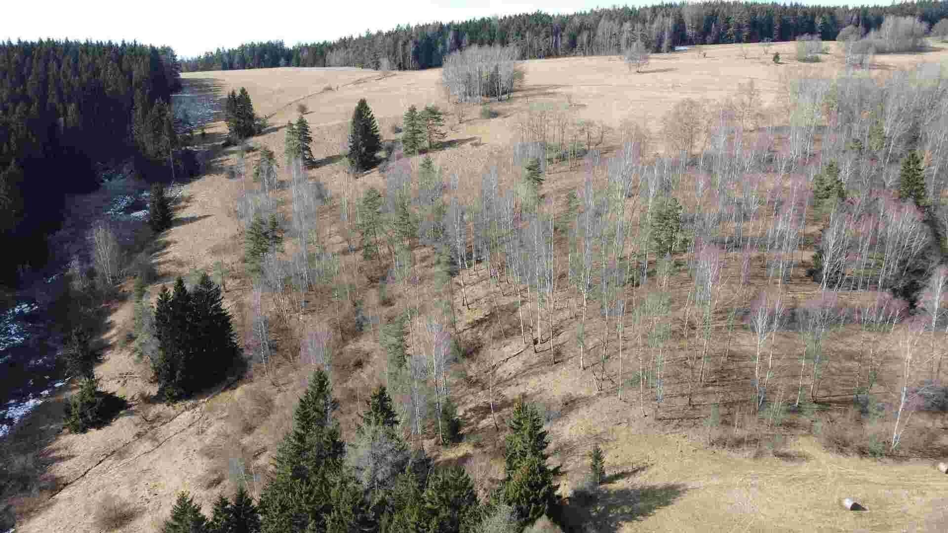 Zemědělský pozemek · 3 869 m² · Kraslice - 3