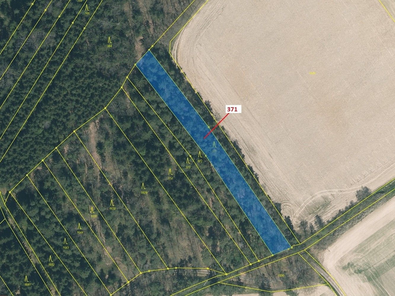 Lesy, Komárov - 2