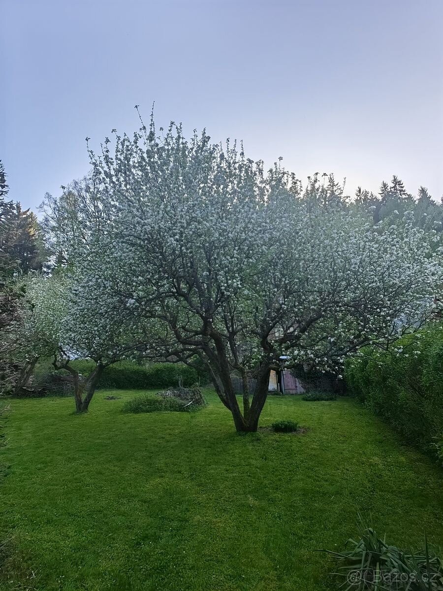 Chata · Větřní, 382 11 - 4