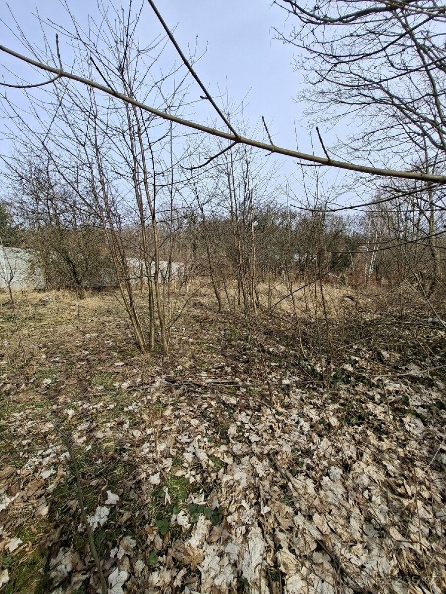 Prodej pozemek pro bydlení - Košťany u Teplic, 417 23