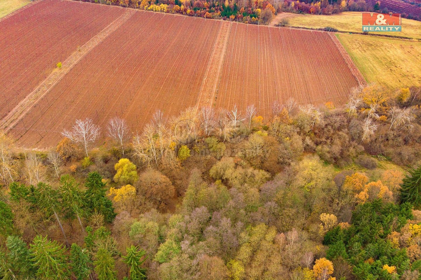 Prodej pozemek - Tuchořice, okres Louny, Ústecký kraj - 5