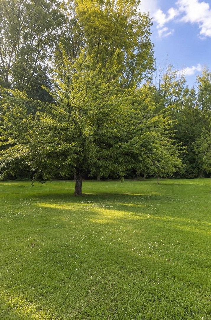 Prodej byt 3+1 - Oberhausen Alt-Oberhausen Nordrhein-Westfalen 46047, 55 m² - 5