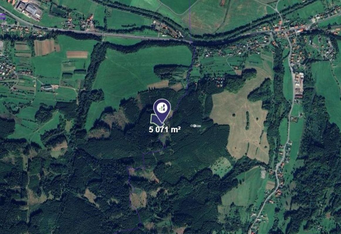 Prodej les - Hovězí, 5 071 m²