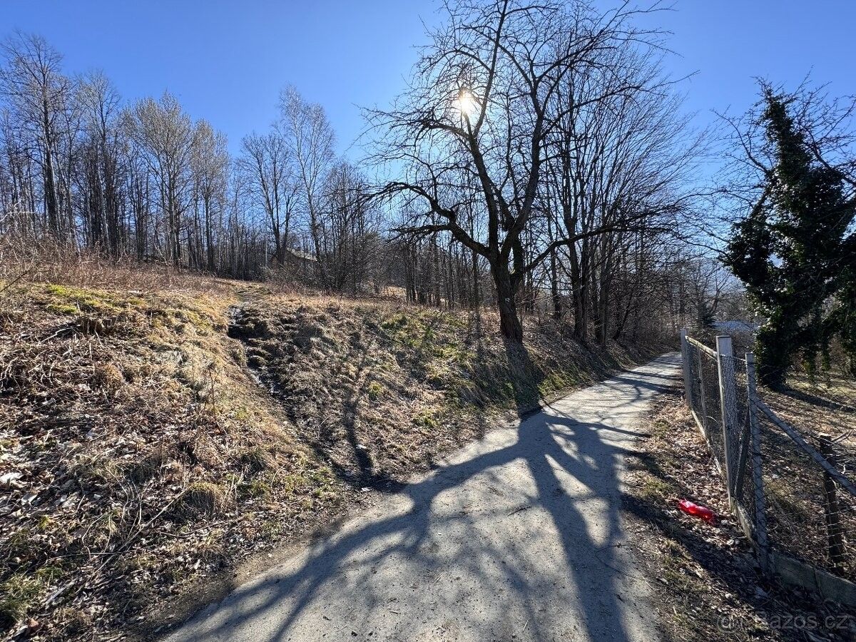 Pozemky pro bydlení, Zlaté Hory v Jeseníkách, 793 76