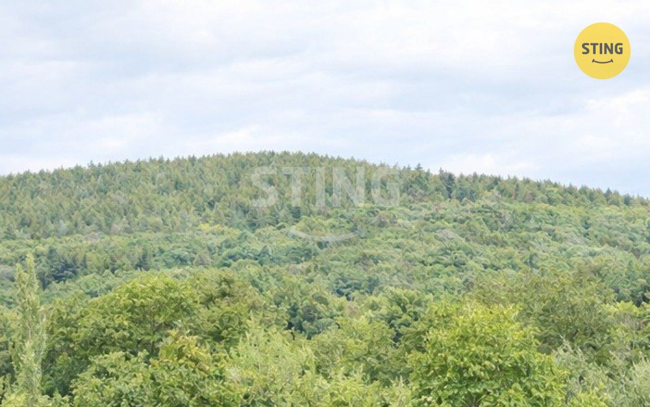 3+1, Komárov, 70 m² - 2