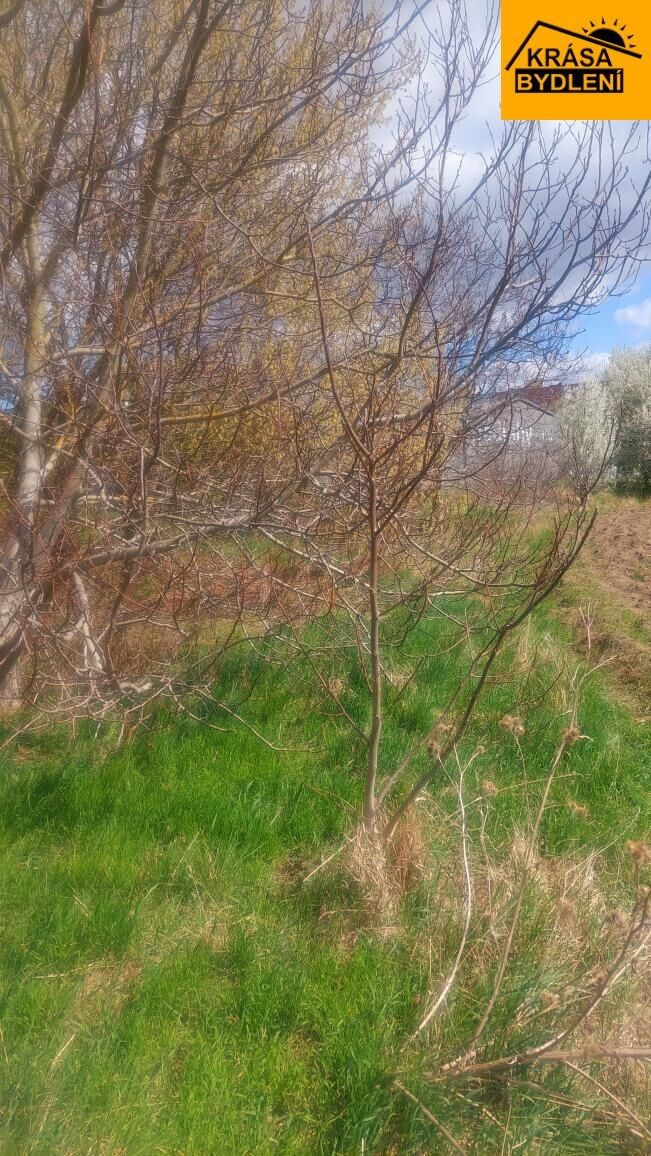 Pronájem zahrada - Povel, Olomouc, 407 m²