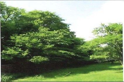 Ostatní, Zlín, 760 01