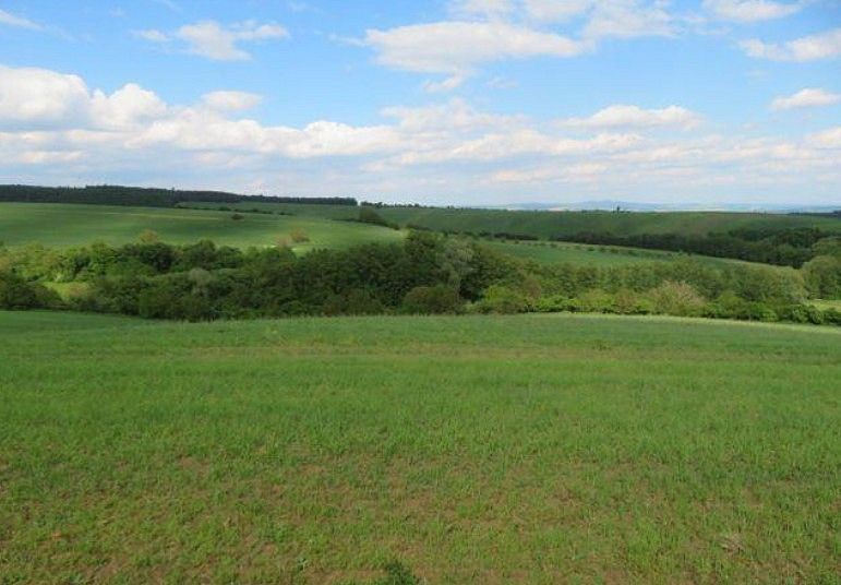 Zemědělské pozemky, Břestek, okres Uherské Hradiště, Zlínský kraj