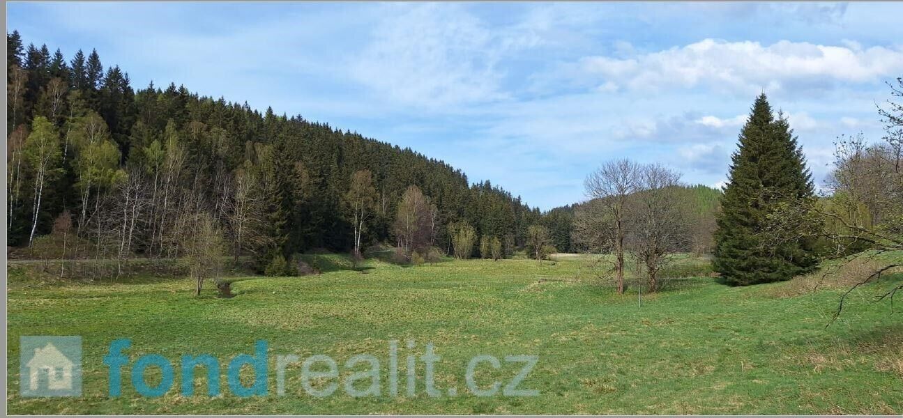 Prodej zemědělský pozemek - Moldava, 58 m²