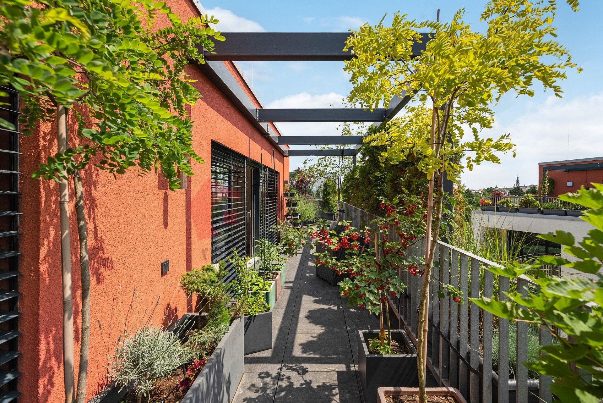 Prodej byt 3+kk - Lazecká, Olomouc, 144 m²