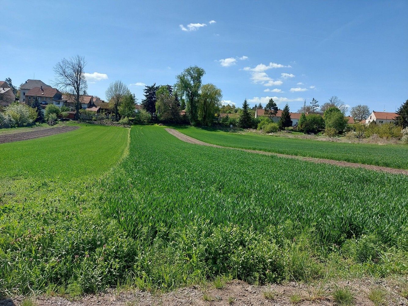 Pozemek pro bydlení · Panenský Týnec, okres Louny, Ústecký kraj - 4