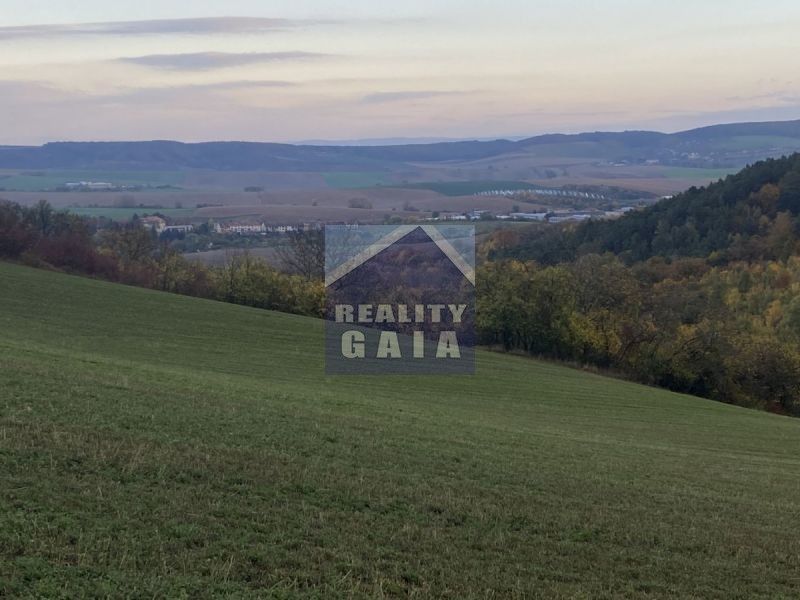 Prodej pozemek - Ždánice, 3 224 m²