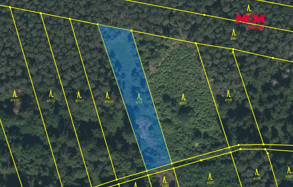 Prodej les - Slabčice - Písecká Smoleč, okres Písek - 5