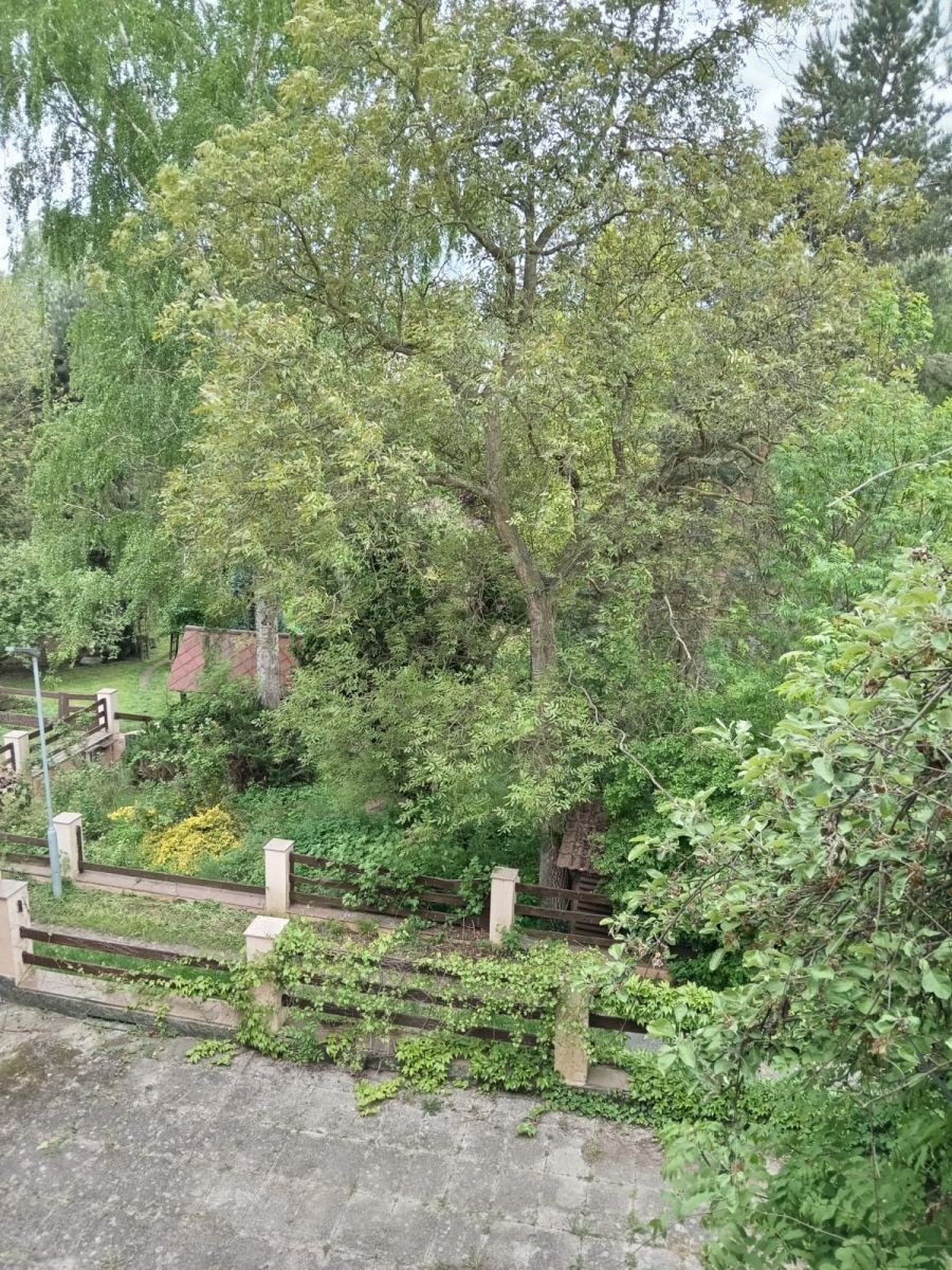 Pronájem byt 3+kk - Pražská, Liběchov - Liběchov, Středočeský kraj, 78 m² - 5