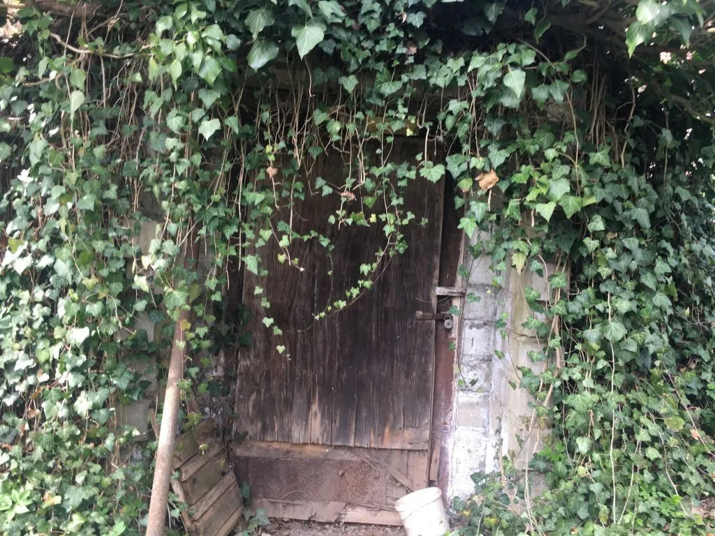 Ostatní