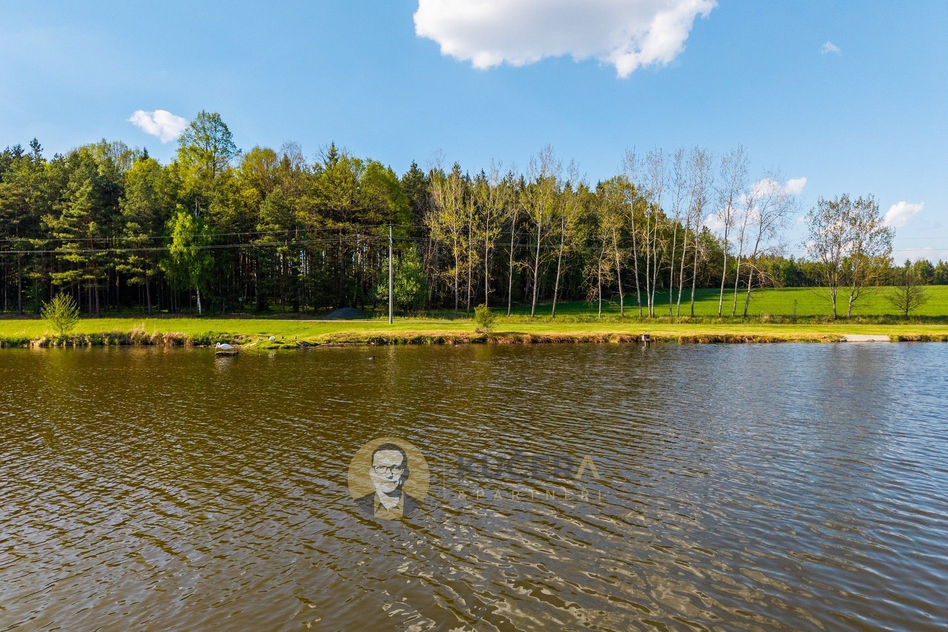 Prodej rybník - Dlouhá Lhota