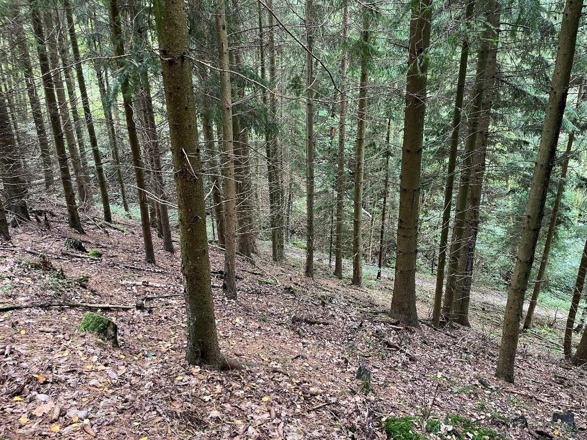 Pozemky pro bydlení, Semily, 513 01