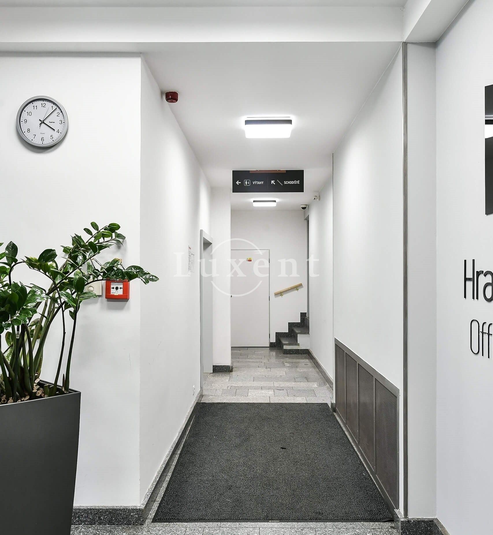 Pronájem kancelář - Milady Horákové, Praha, 900 m²