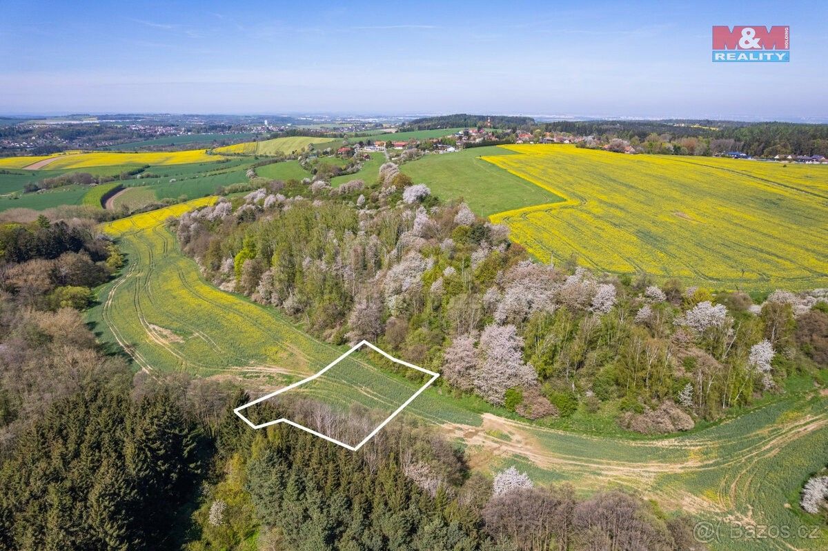 Prodej zemědělský pozemek - Mnichovice, 251 64, 4 006 m²