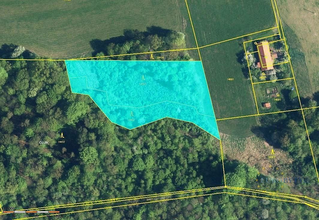 Prodej les - Bruzovice, okres Frýdek-Místek, Moravskoslezský kraj - 2