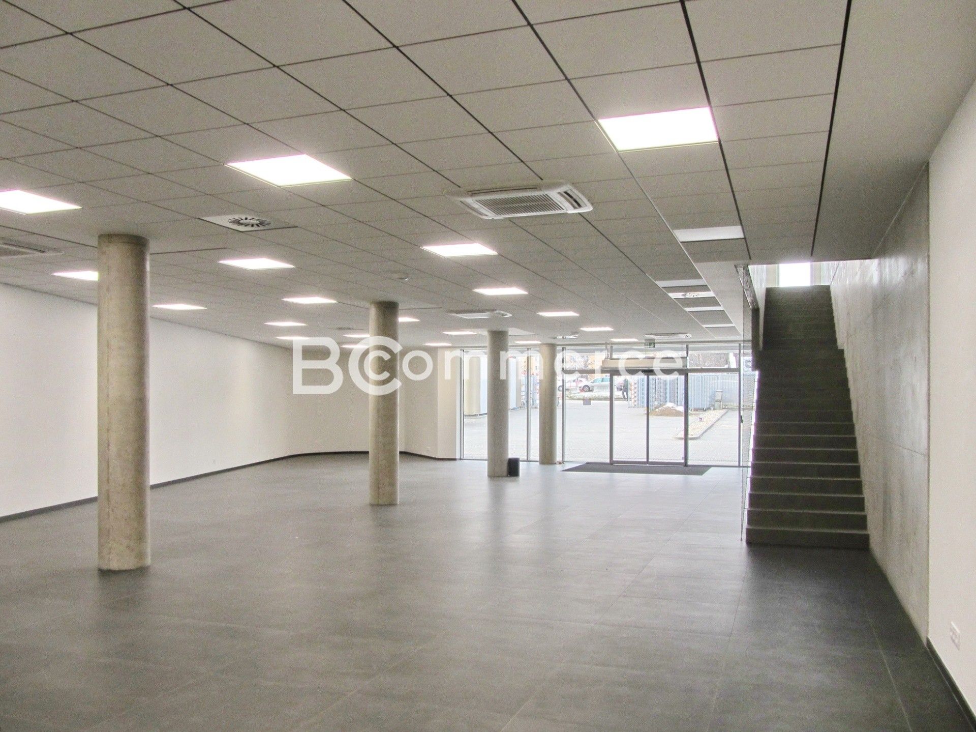 Pronájem obchodní prostory - Polní, Brno, 460 m²