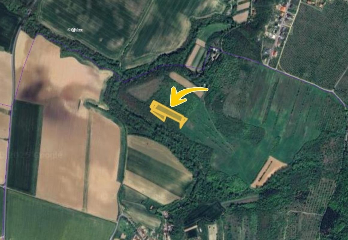 Prodej zemědělský pozemek - Němčičky