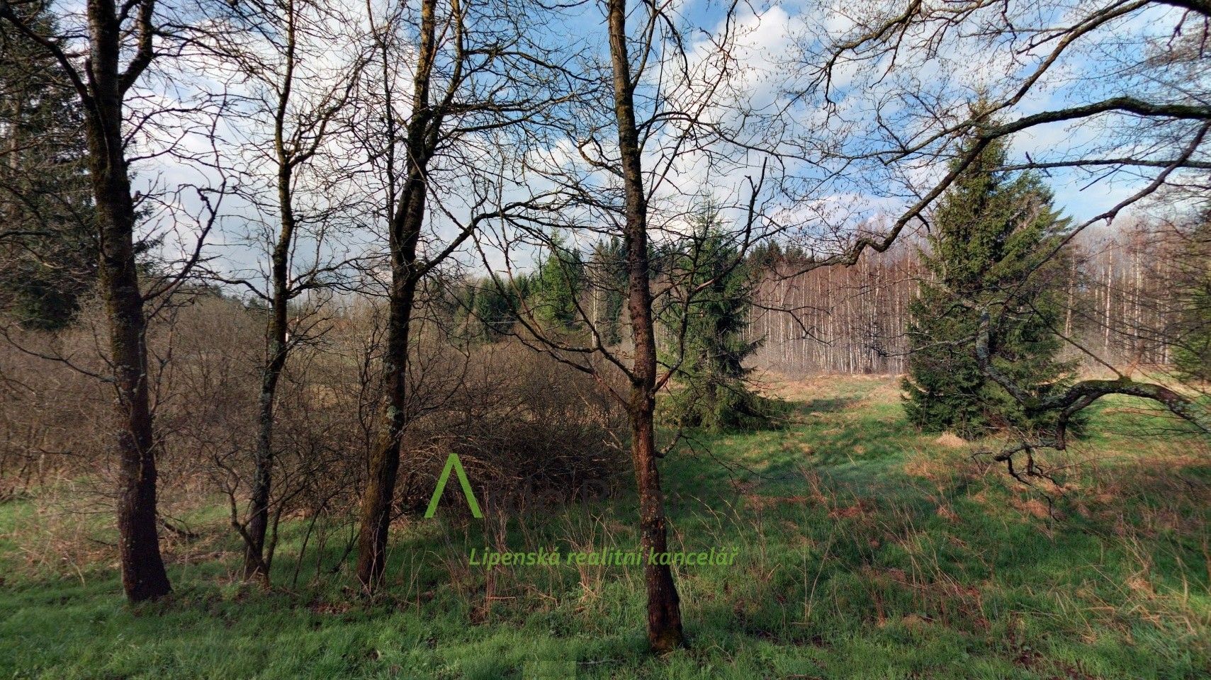 Prodej pozemek - Přední Výtoň