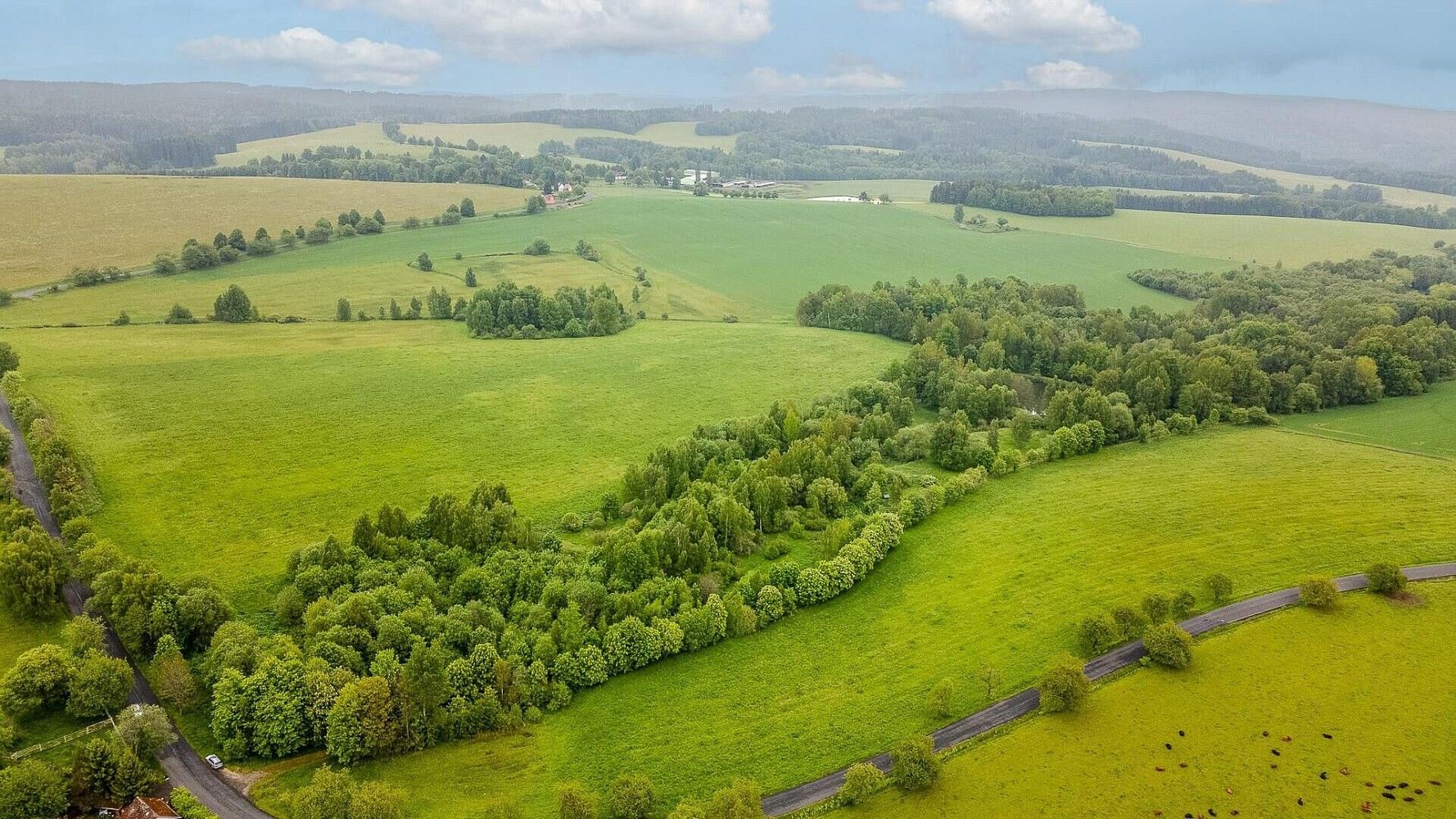 Zemědělský pozemek · Krajková, okres Sokolov - 4