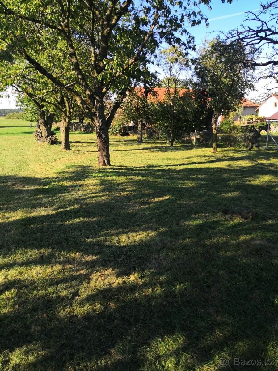 Pronájem zahrada - Rybitví, 533 54 - 5