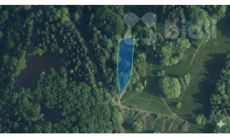 Prodej les - Šumburk nad Desnou, Tanvald