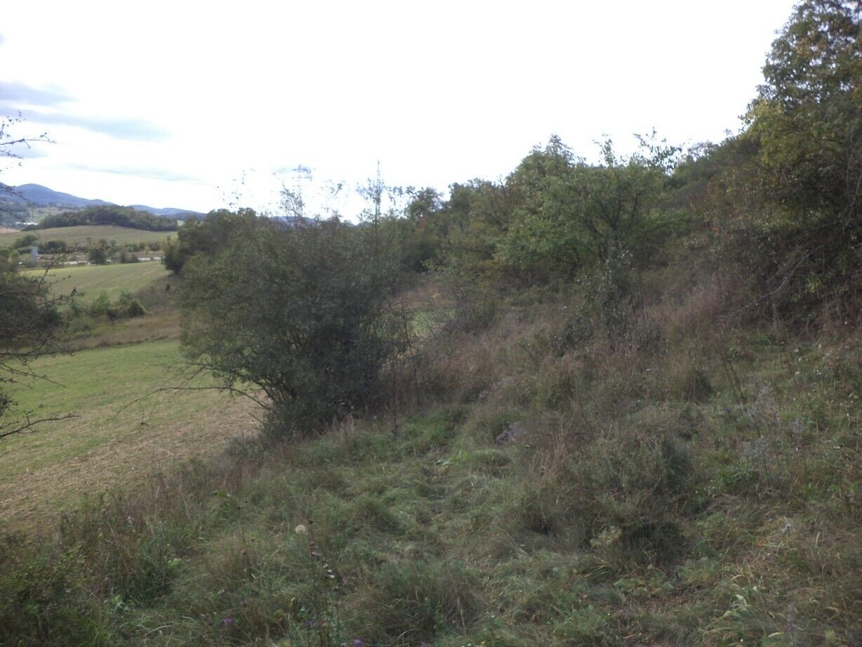 Zemědělský pozemek · 22 441 m² · Řehlovice Stadice - 4