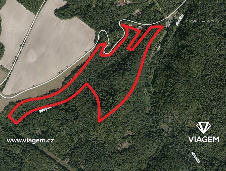 Les · Hrabyně, okres Opava, Moravskoslezský kraj - 3