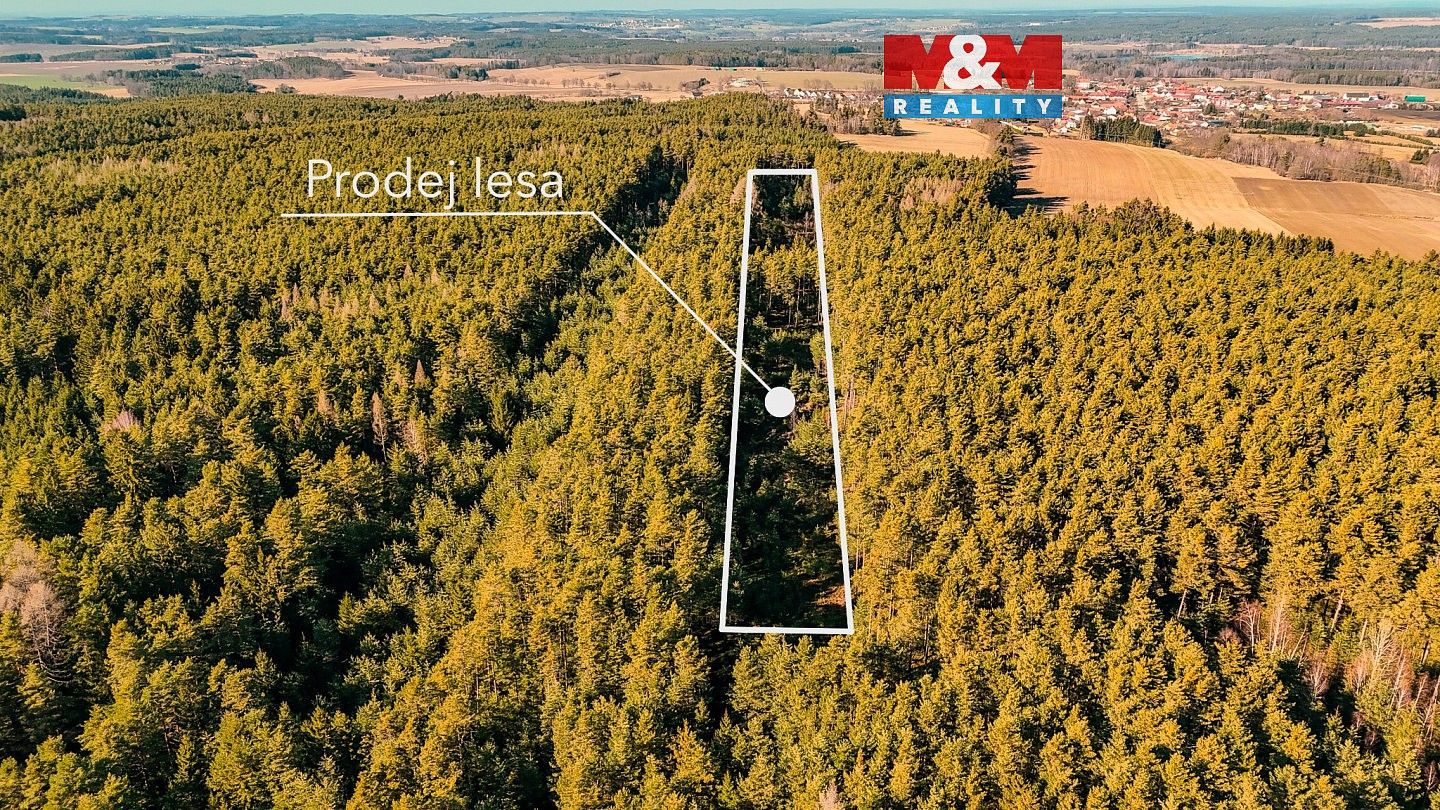 Les, 18 382 m²
