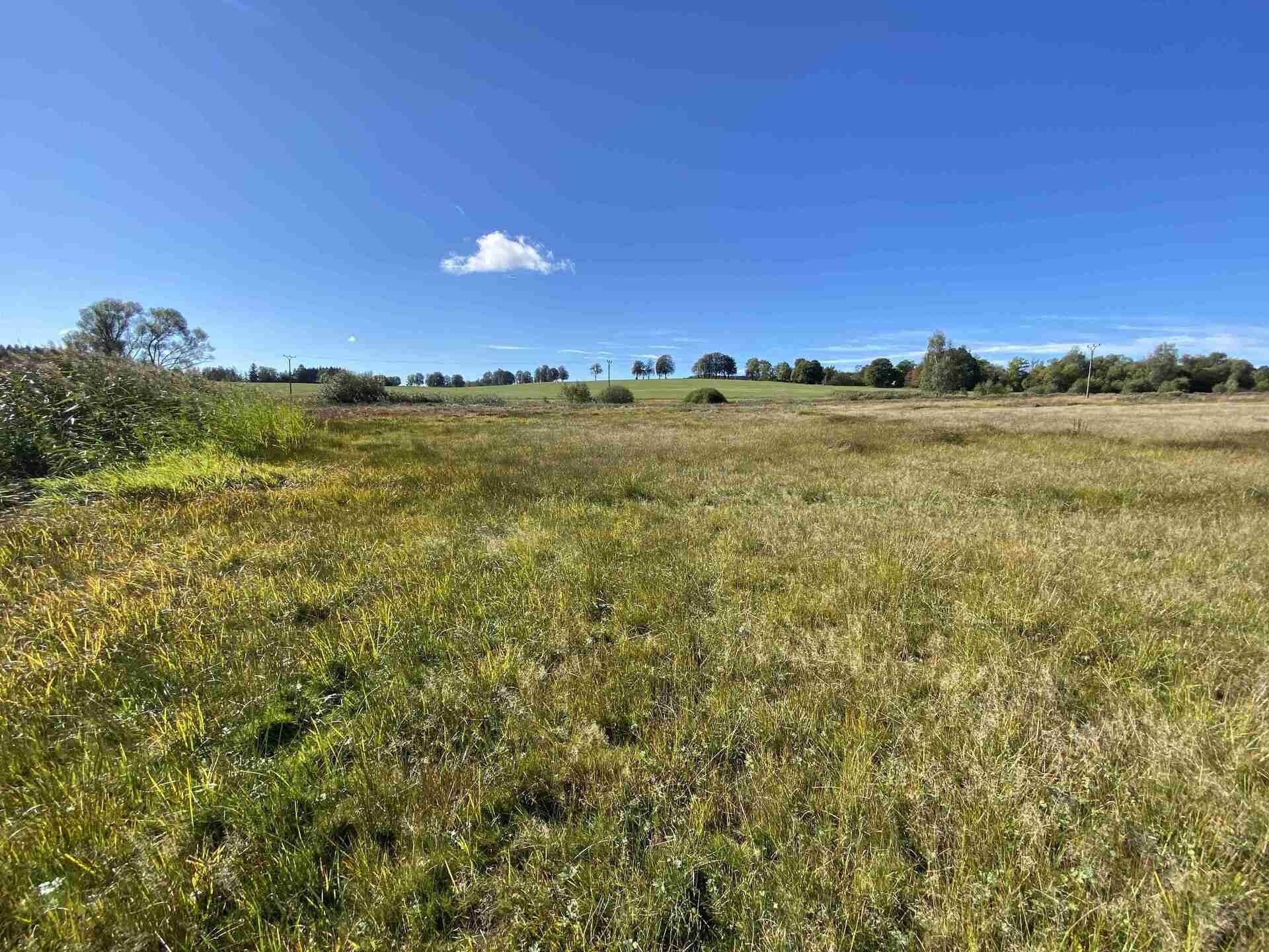 Zemědělský pozemek · 4 706 m² · Nový Rychnov Čejkov - 3