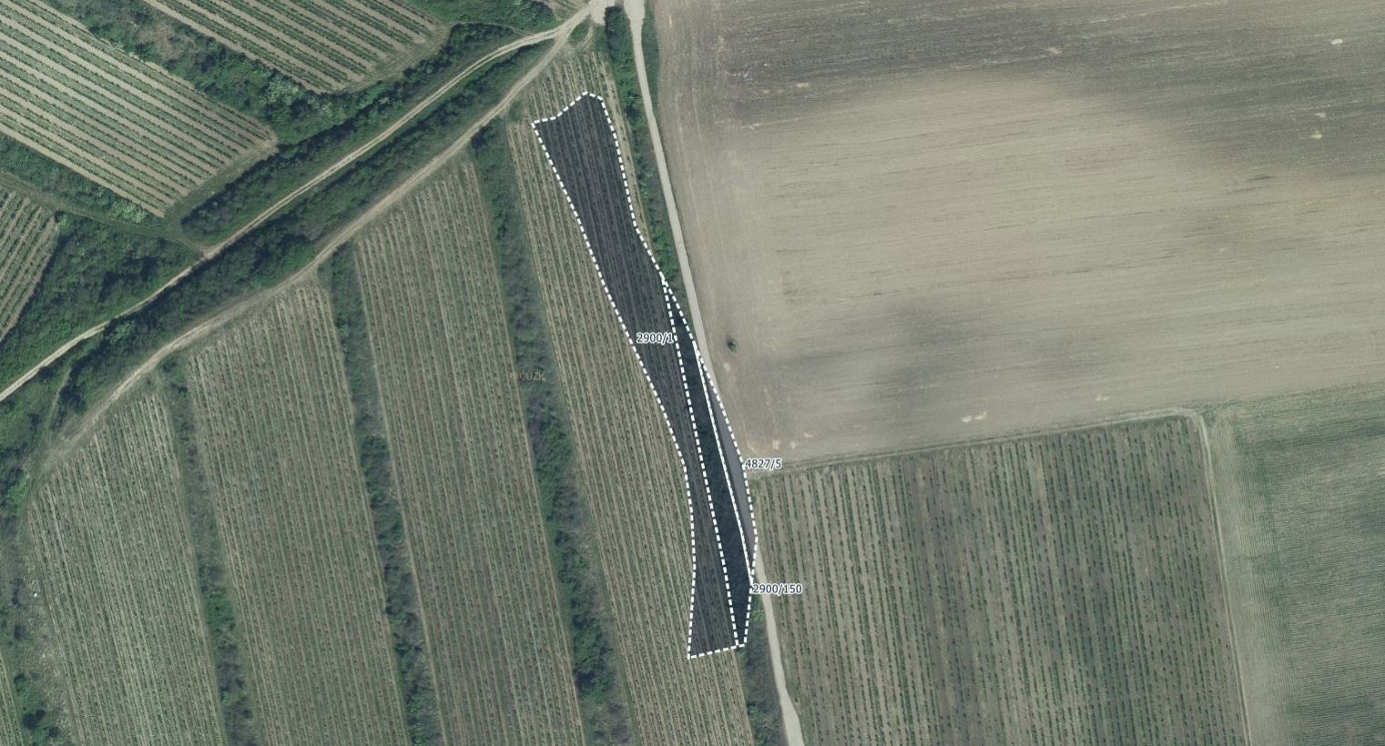 Ostatní, Čejkovice