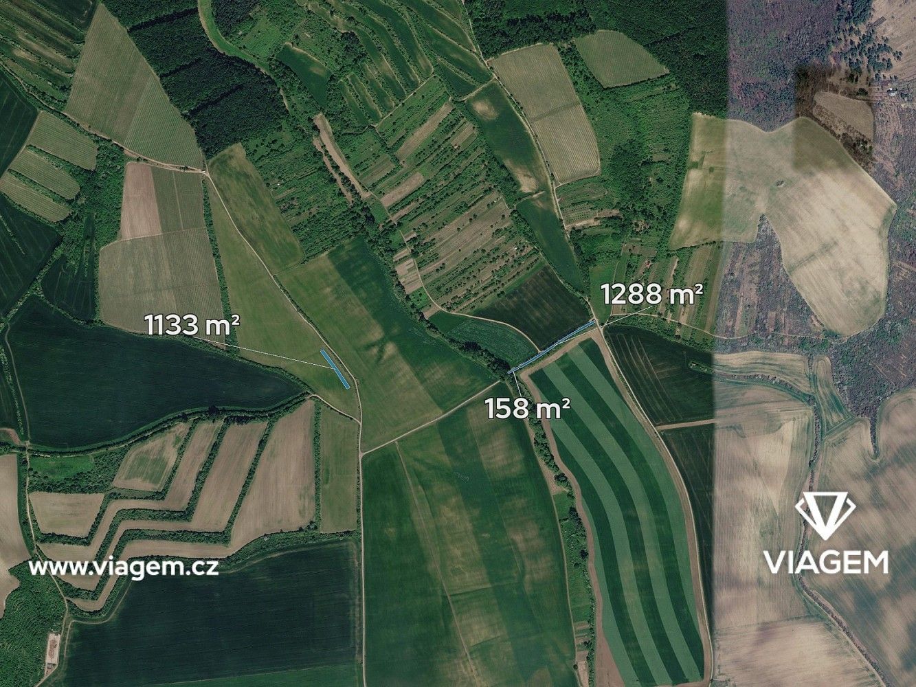 Prodej zemědělský pozemek - Archlebov, okres Hodonín, Jihomoravský kraj - 2