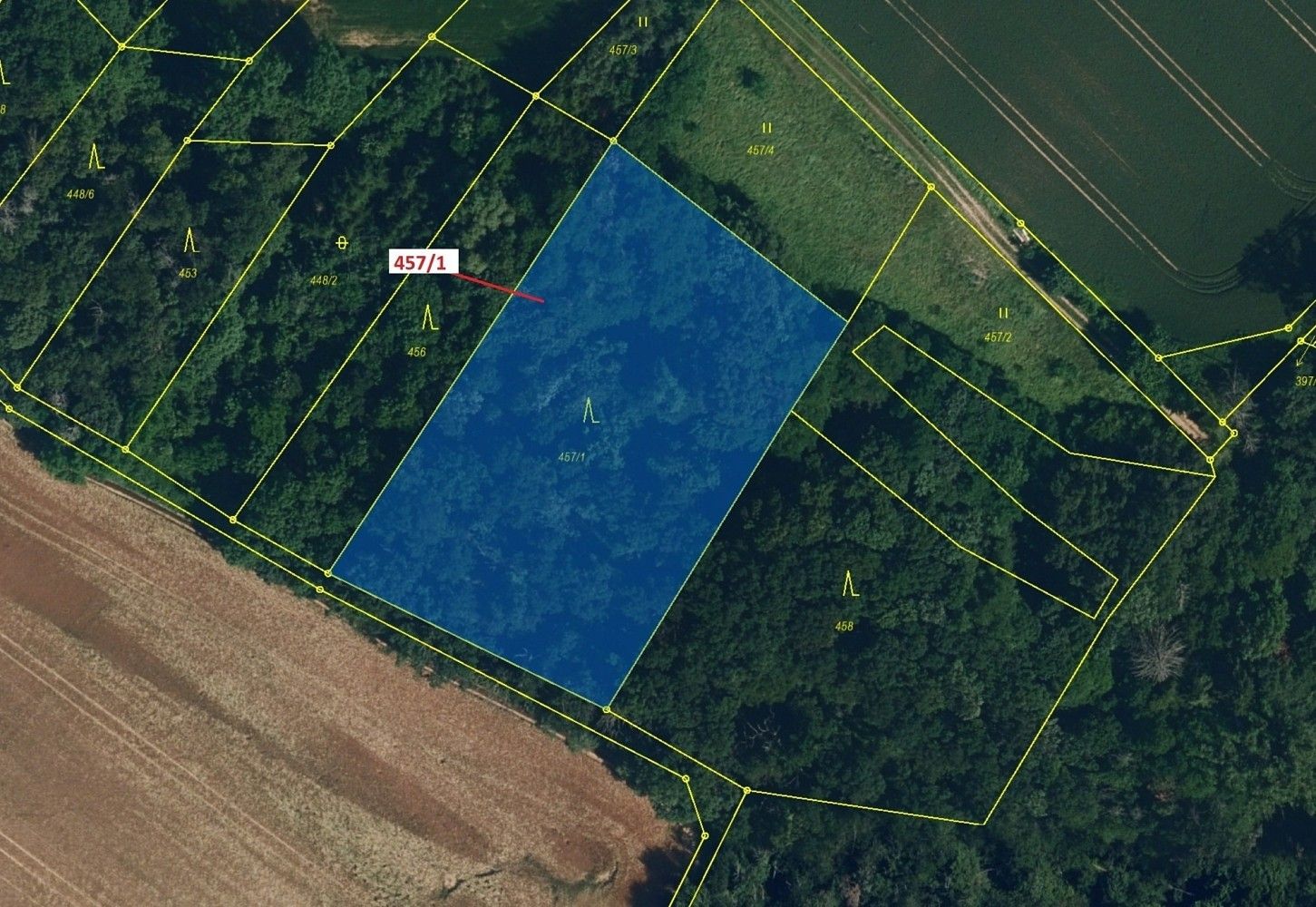 Prodej les - Přešovice, okres Třebíč, Kraj Vysočina - 2