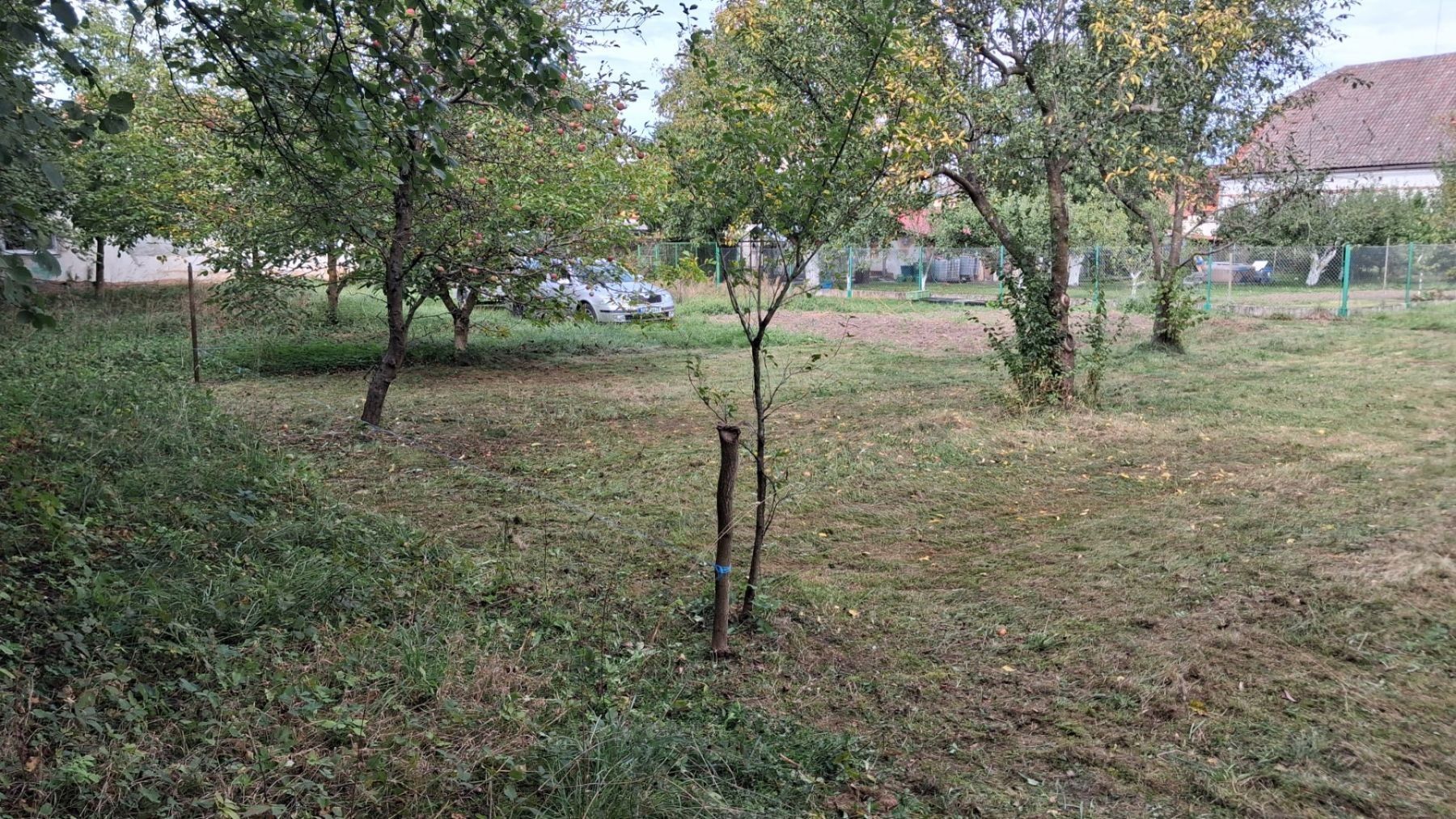 Zahrada · Čelakovského, Rokycany - Rokycany, Plzeňský kraj - 3
