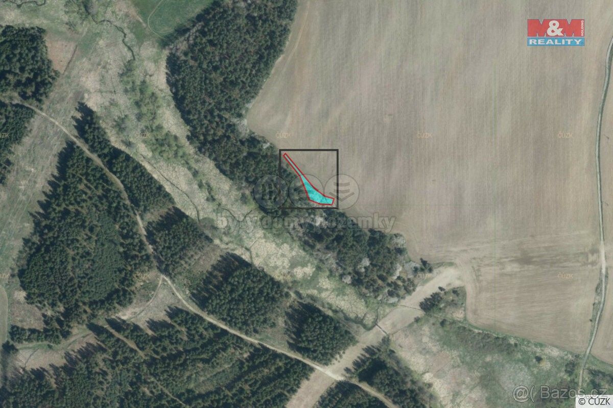 Prodej zemědělský pozemek - Bor u Tachova, 348 02, 2 085 m²