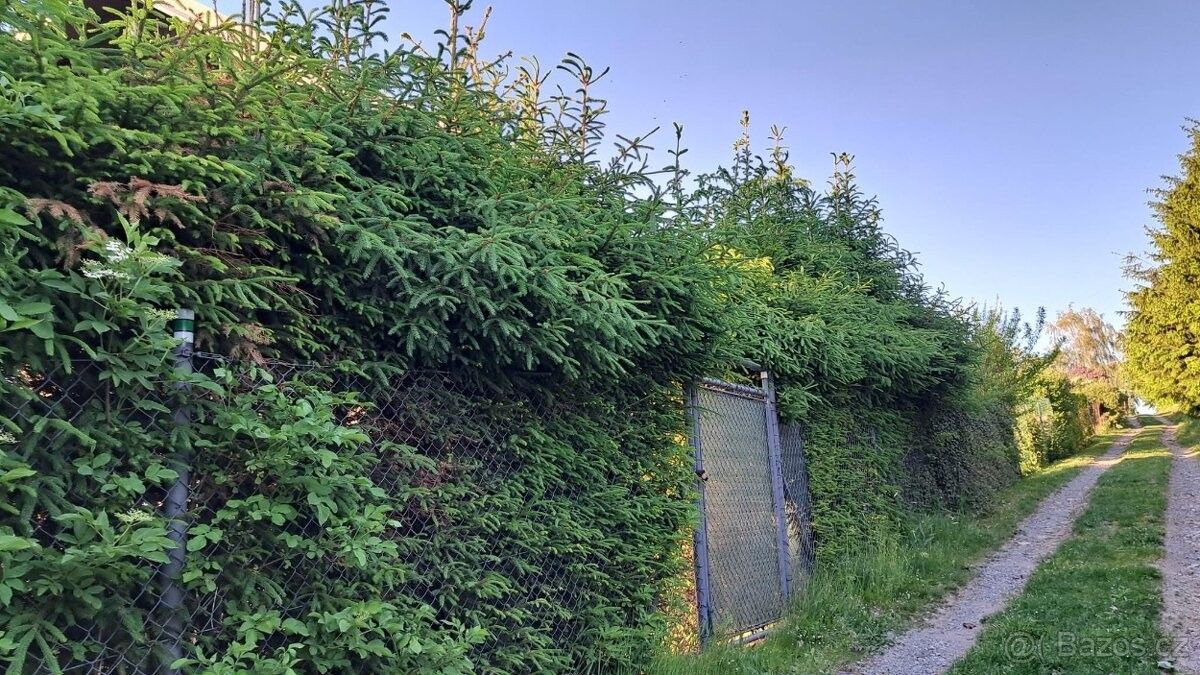 Chata · Nové Město na Moravě, 592 31 - 4
