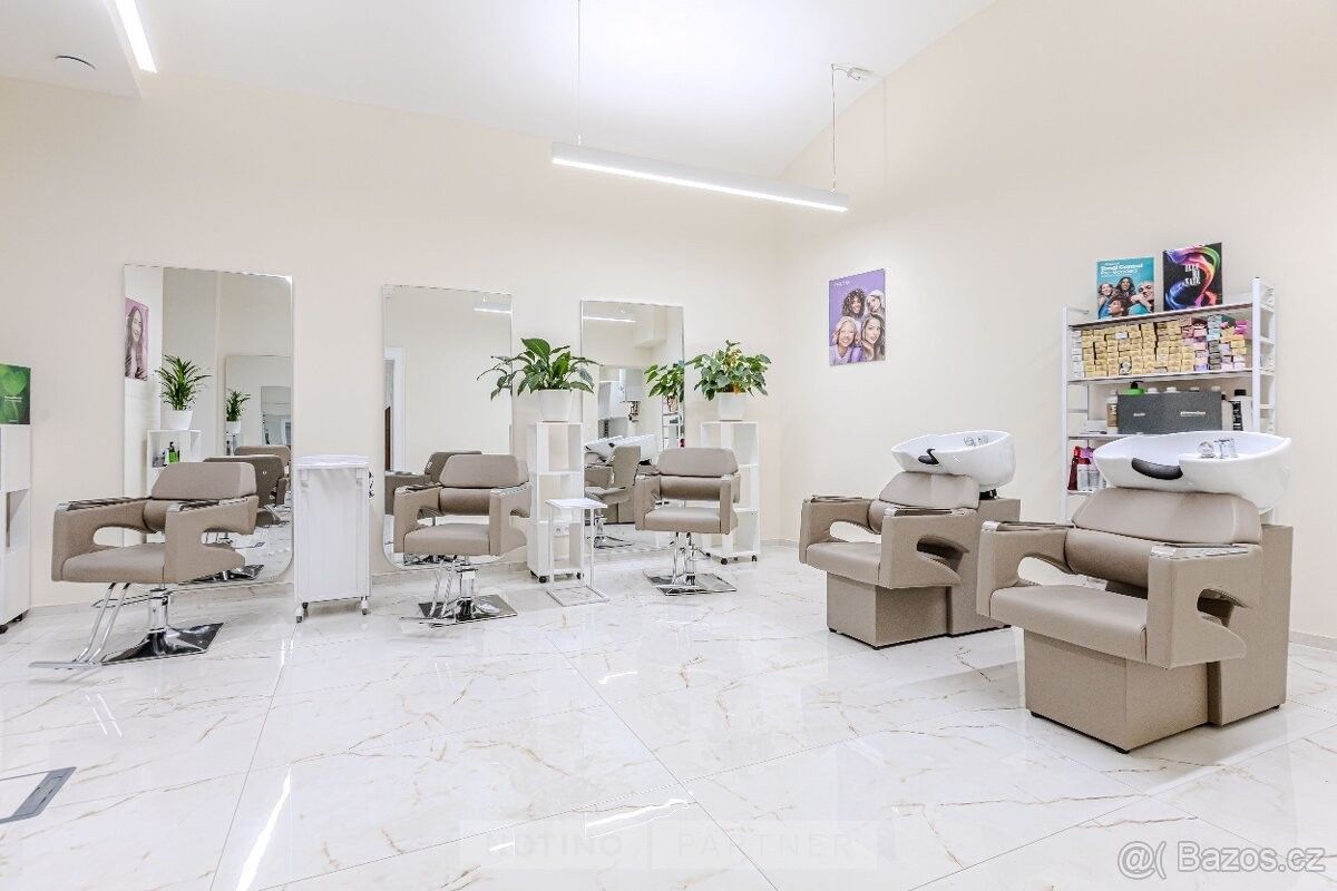 Obchodní prostory, Praha, 110 00