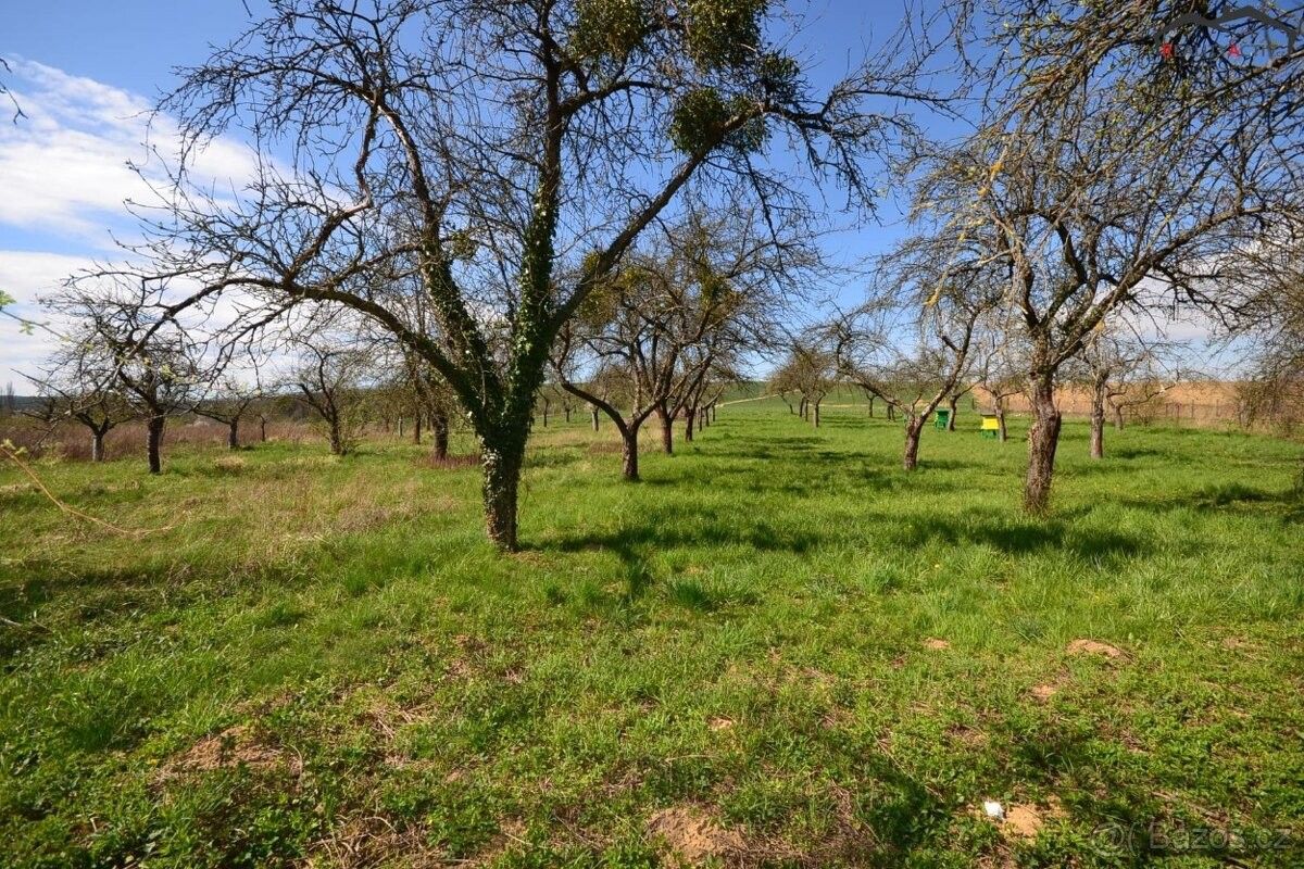 Prodej zahrada - Bučovice, 685 01