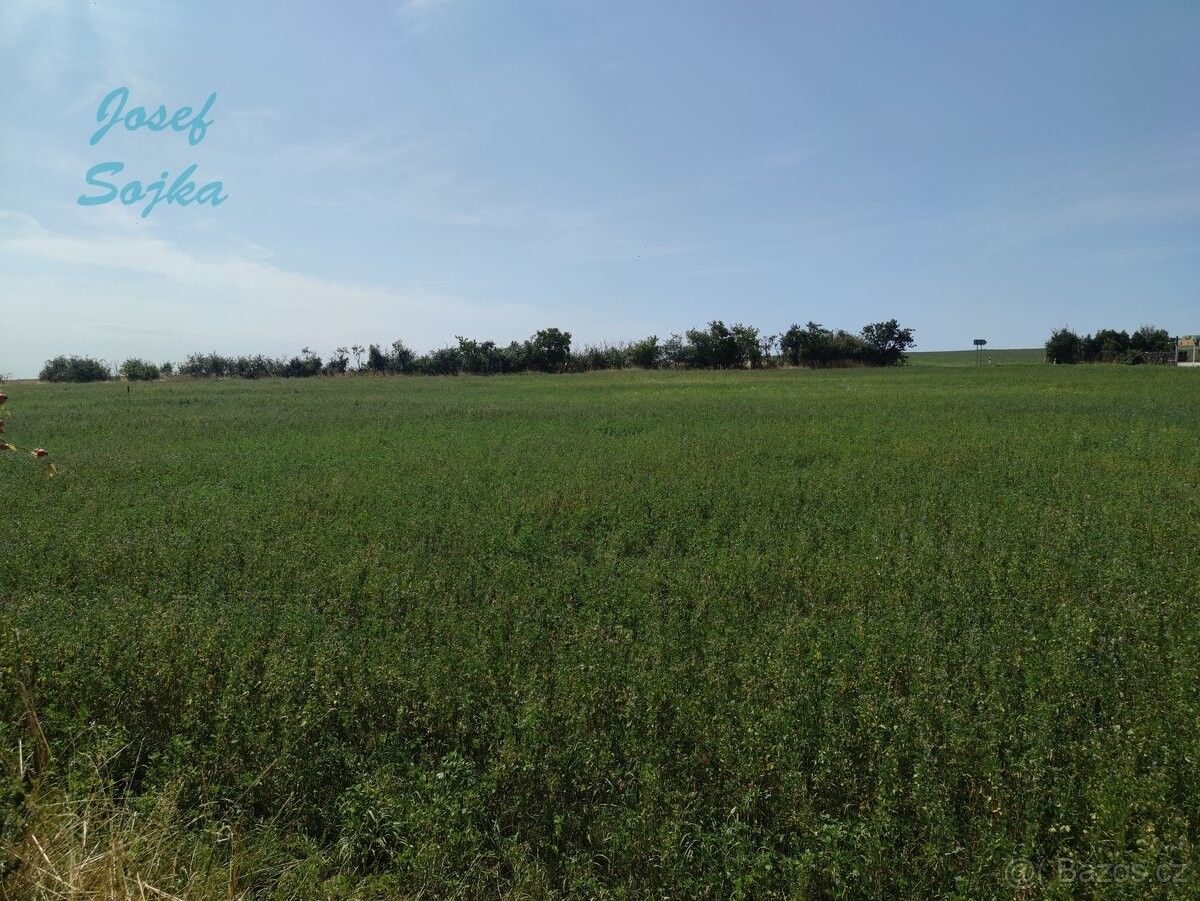Prodej pozemek pro bydlení - Tavíkovice, 671 40 - 5