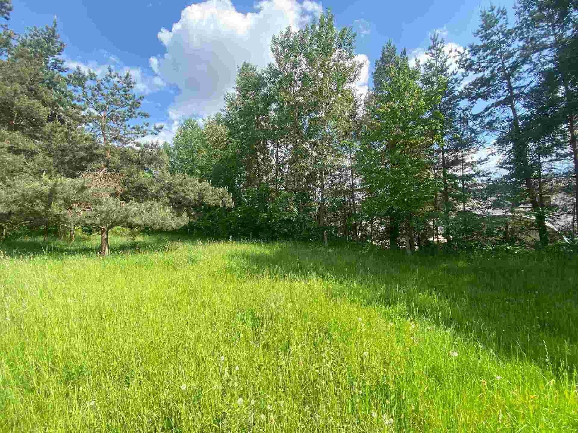 Pozemek, 2 300 m²