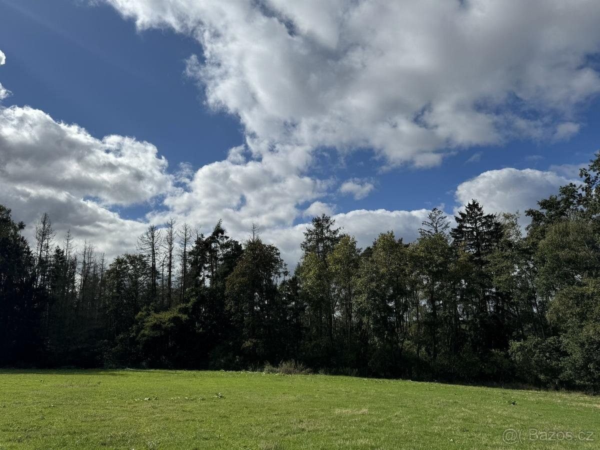 Prodej pozemek pro bydlení - Herálec u Havlíčkova Brodu, 582 55