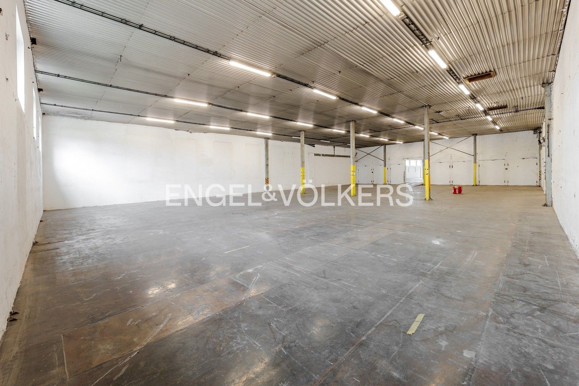 Sklad · 1 321 m² · Prof. Seemana, Vysoké Veselí - 4