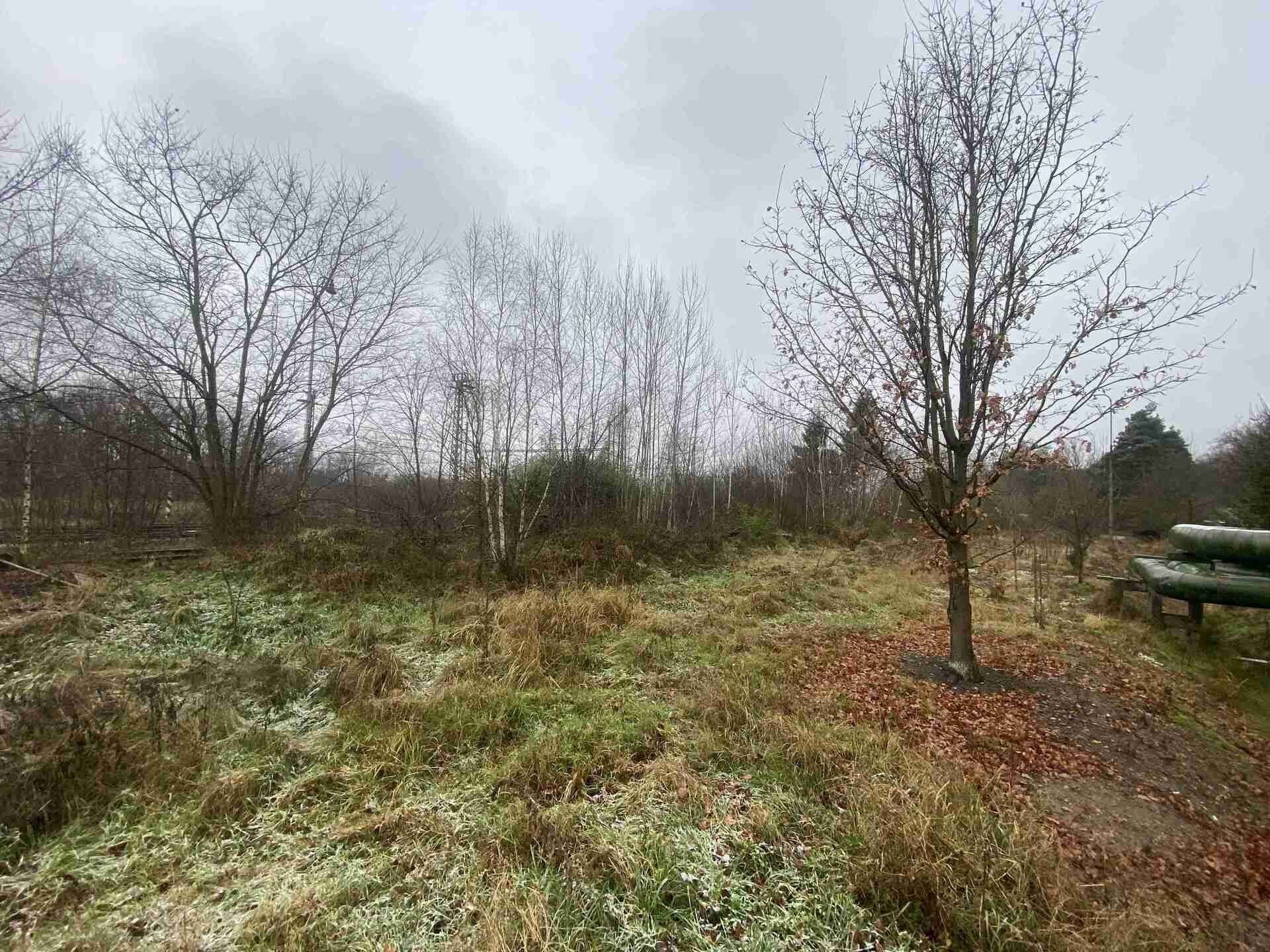 Prodej pozemek - Zliv, 311 m²