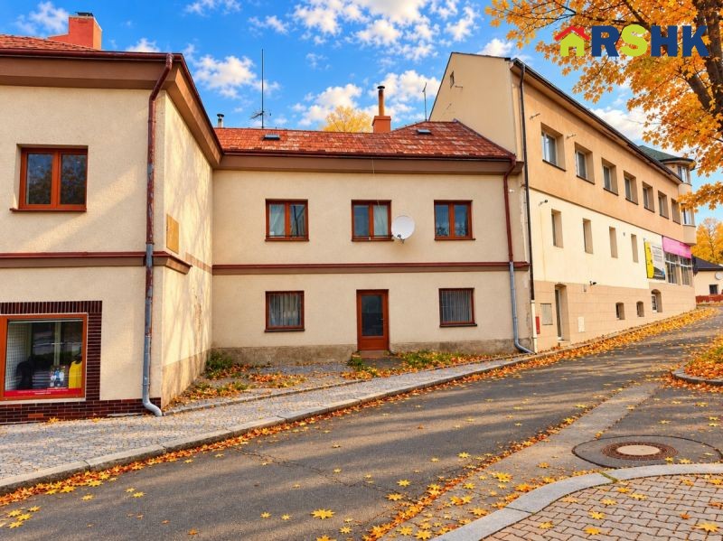 Obchodní prostory, 55 m²