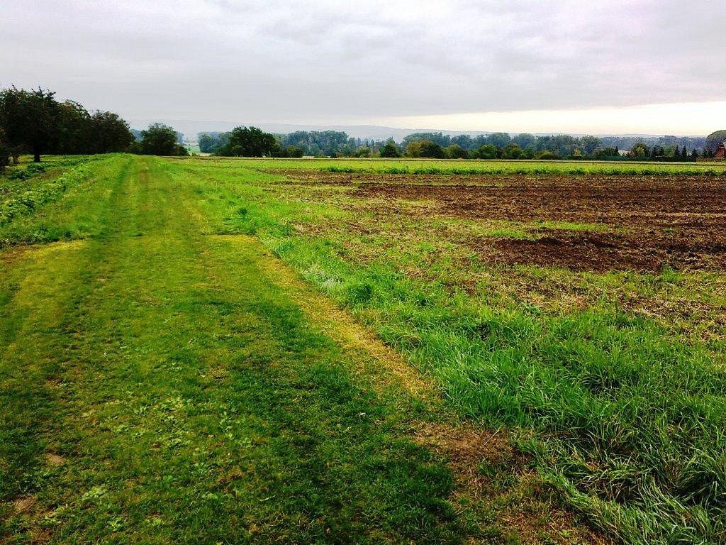 Zemědělské objekty, Labuty, okres Hodonín, 20 000 m² - 2